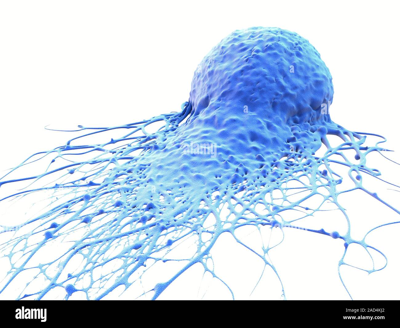 Cancer cell. Computer illustration of cancer cell Stock Photo - Alamy