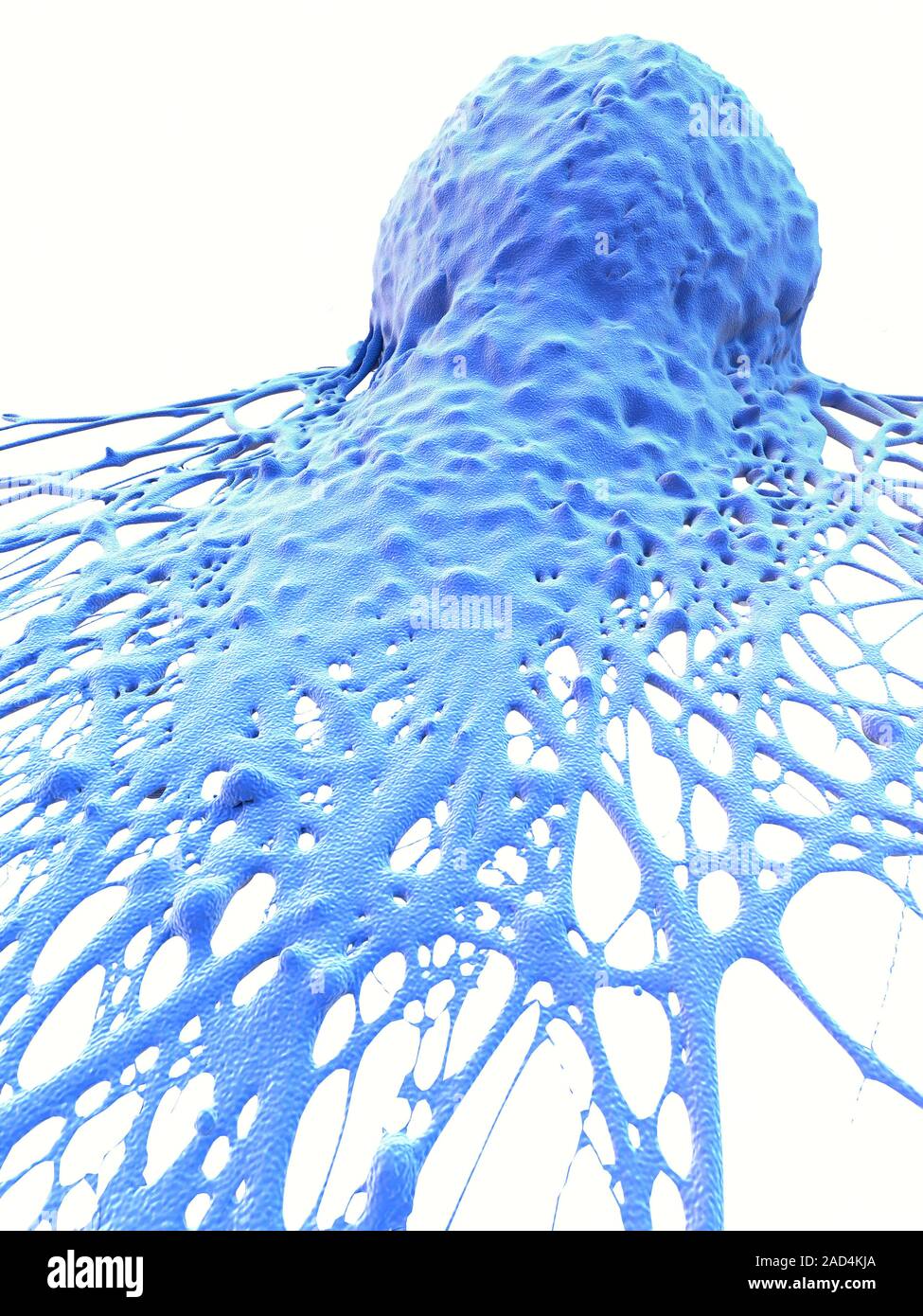 Cancer cell. Computer illustration of cancer cell Stock Photo - Alamy