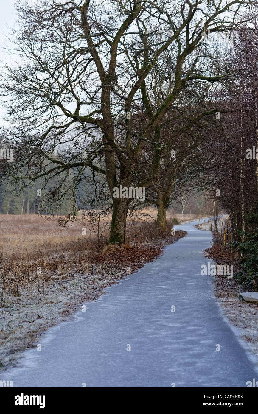 Ice rain has covered a path with a thick dangerous layer of ice, trees on the path, winter mood without snow, depth effect - Location: Germany, Saxony Stock Photo