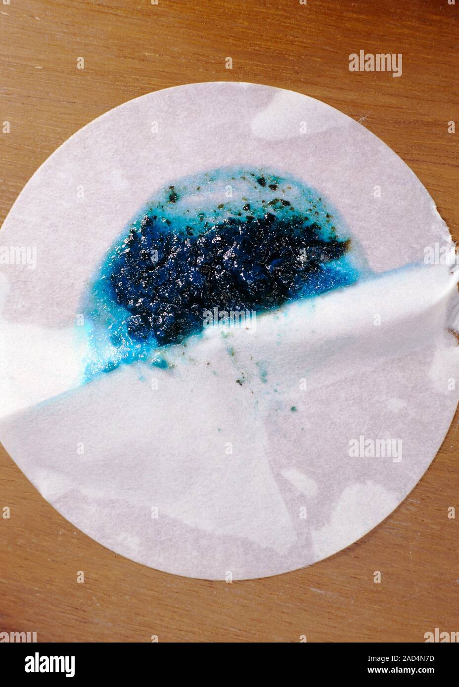 Copper hydroxide on filter paper, flattened out. Copper (II) hydroxide