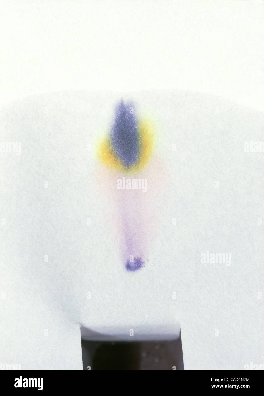 Chromatography of black ink. Chromatography is an analytical process