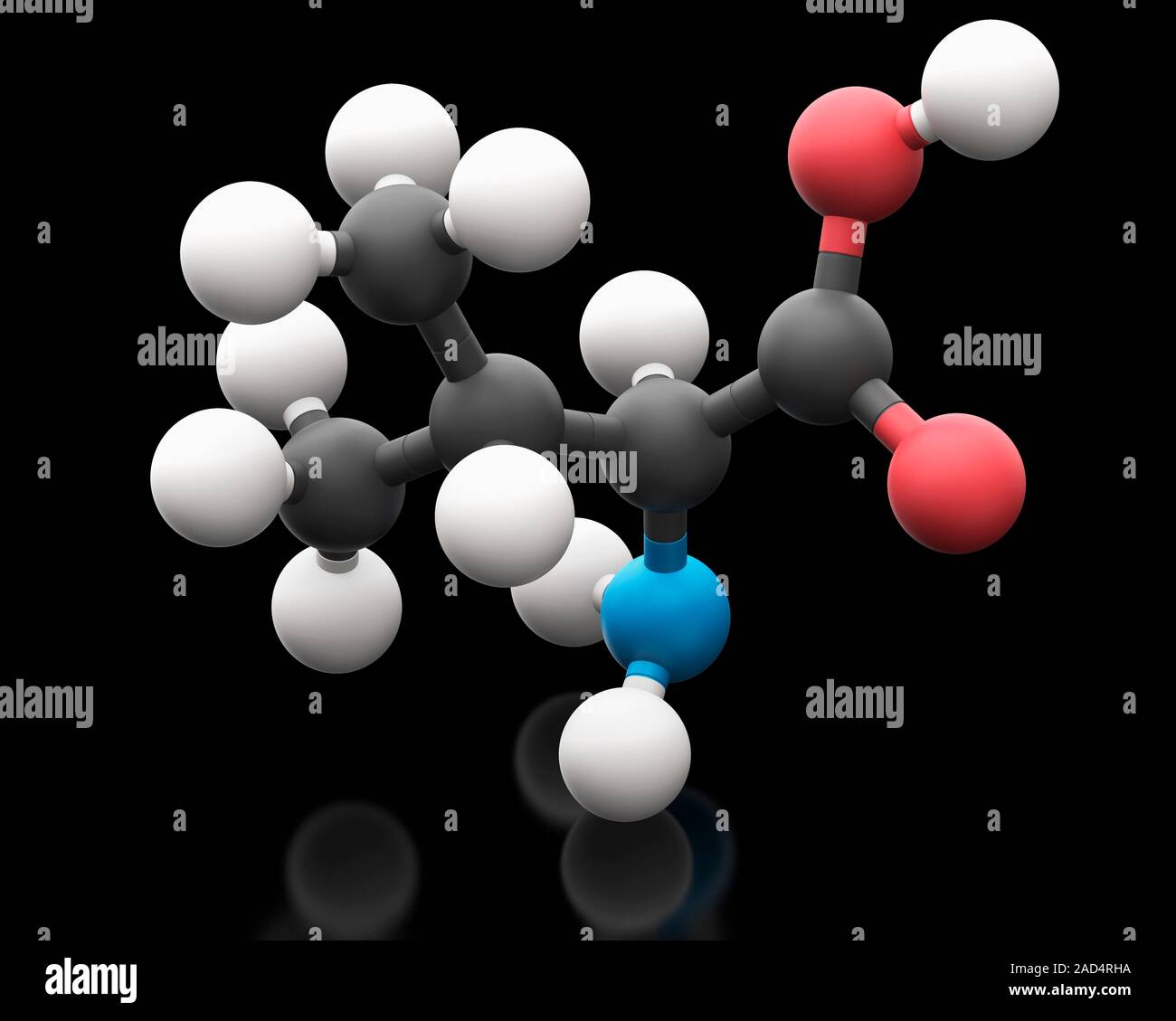 Molecular model of the essential alphaamino acid valine (C5. H11. N