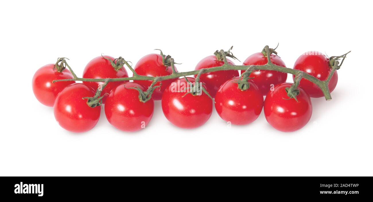 Cherry tomatoes on the stem Stock Photo