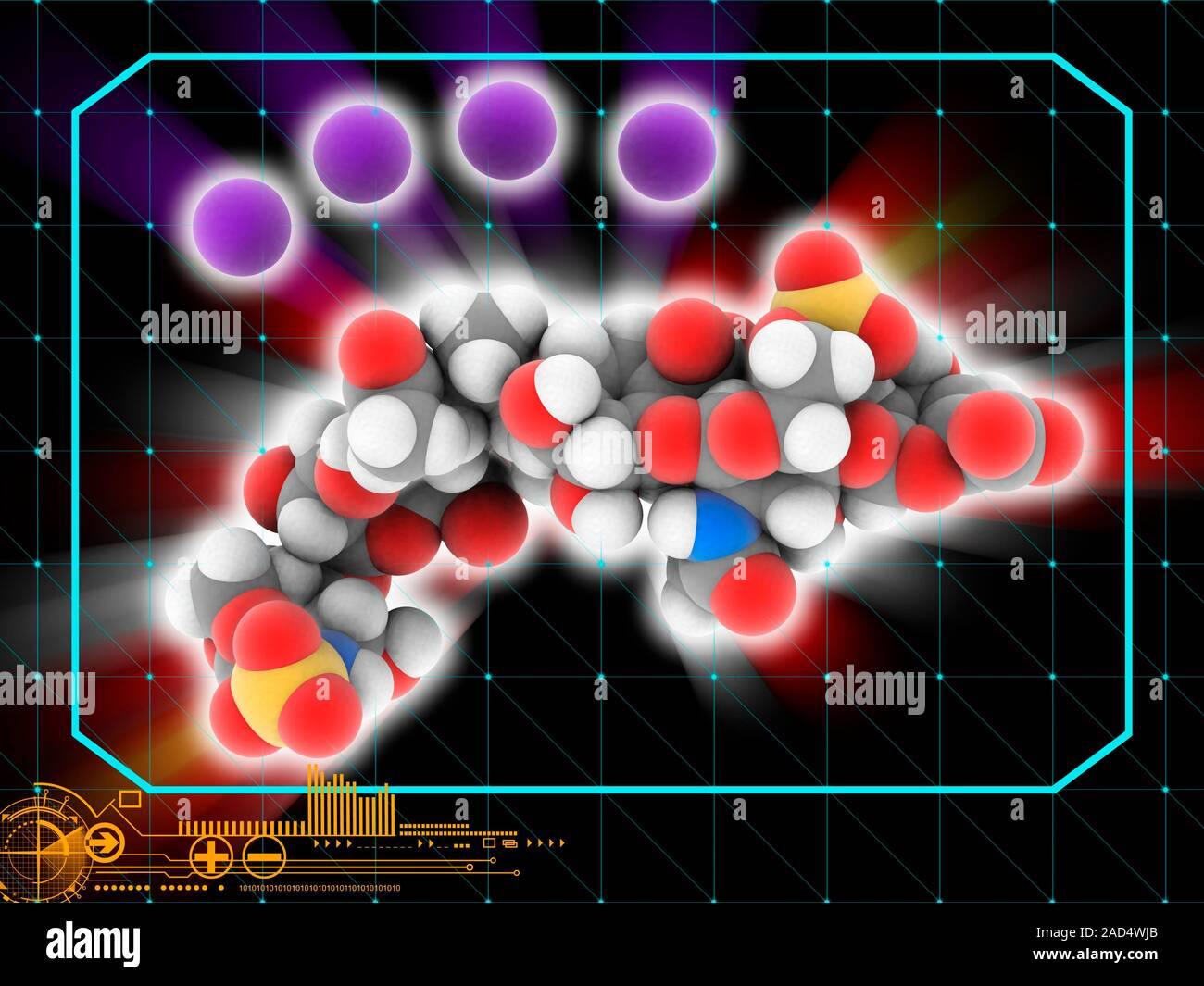 Enoxaparin sodium. Molecular model of the drug enoxaparin sodium (C42.H59.N3.Na4.O35.S2). This