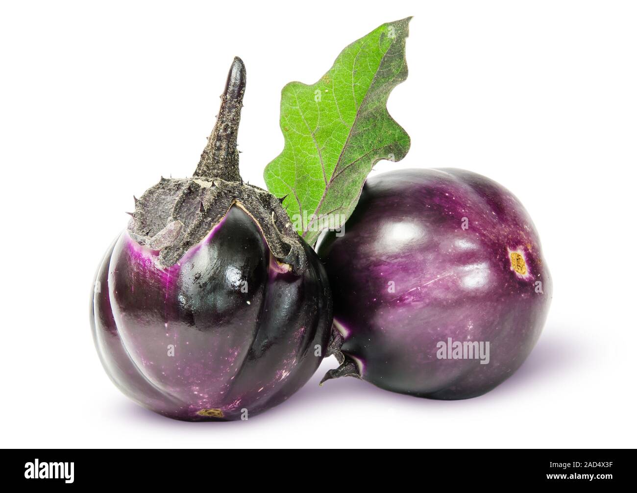 Two round ripe eggplant with green leaf Stock Photo