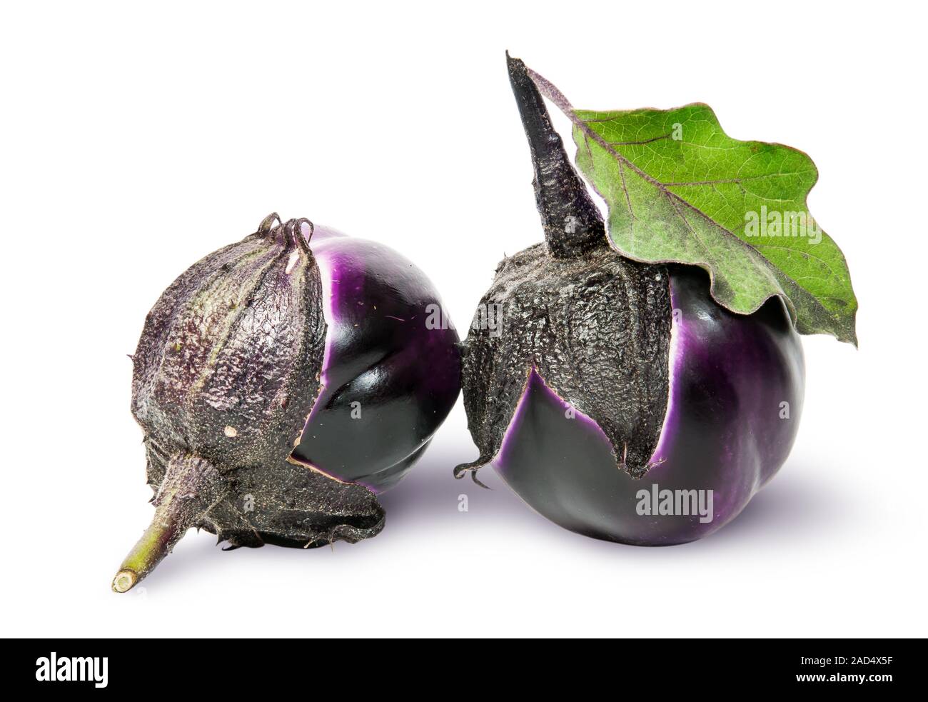 Two round ripe eggplant with green leaf rotated Stock Photo