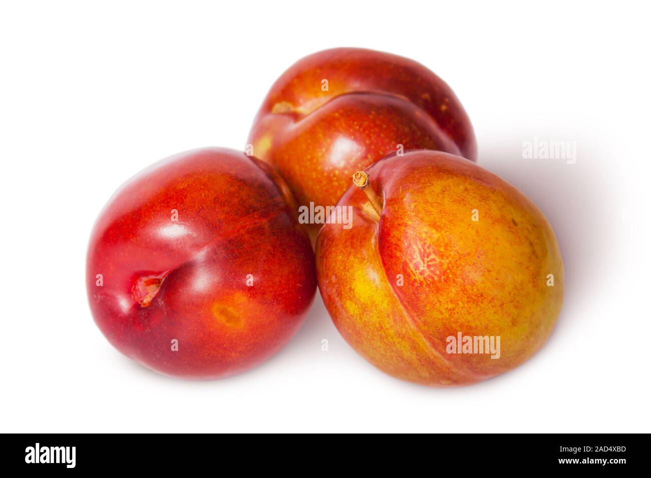 Three yellow and red plum near Stock Photo