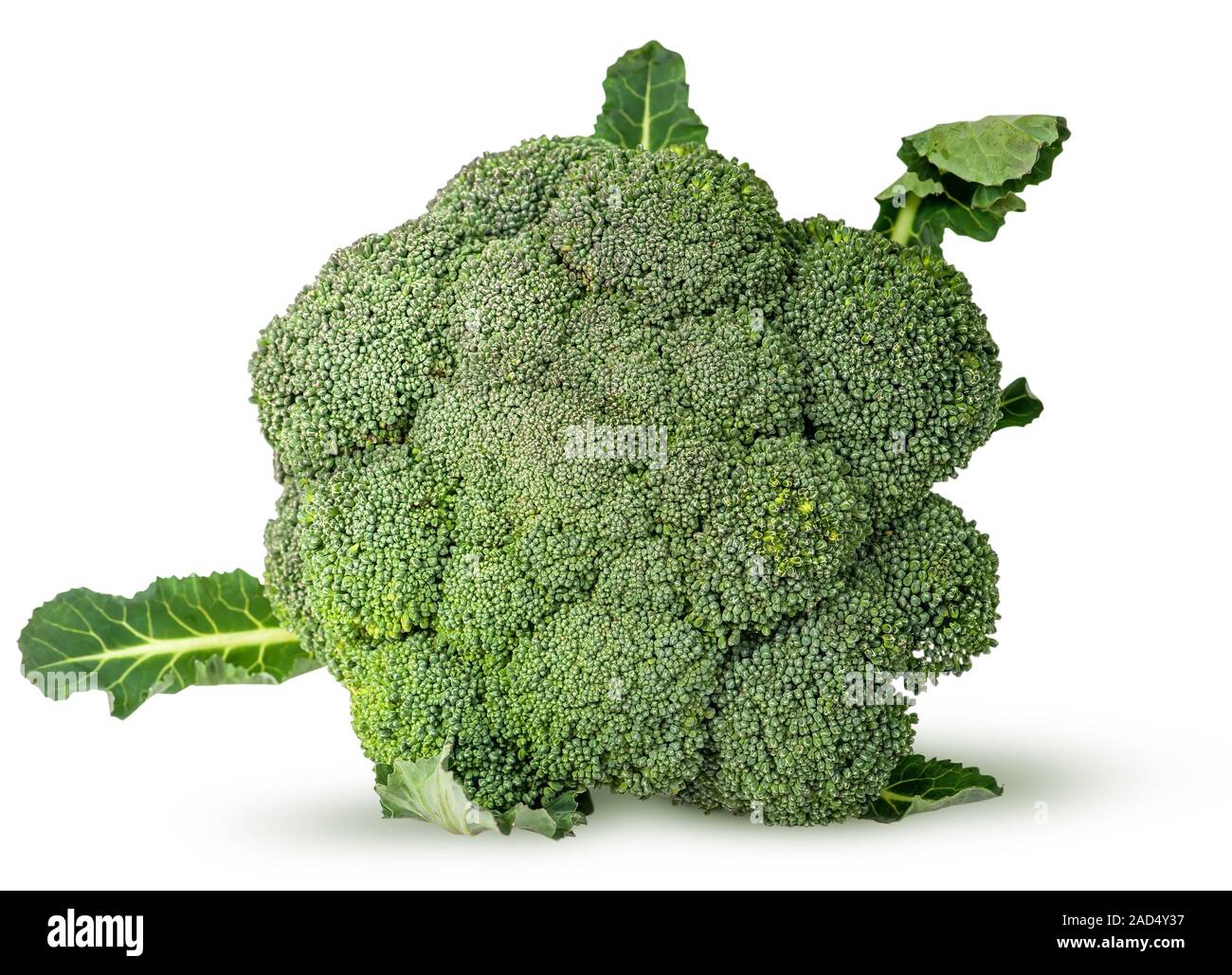 inflorescences of fresh broccoli with leaves view Stock Photo - Alamy
