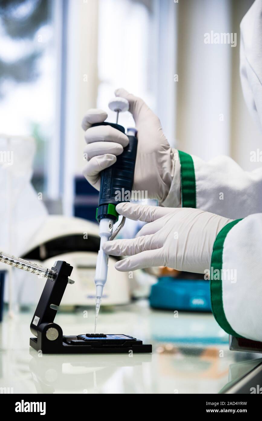 Genetic microarray preparation. Analyst pipetting a prepared DNA (deoxyribonucleic acid) sample onto a gene chip or microarray. This device is used wi Stock Photo