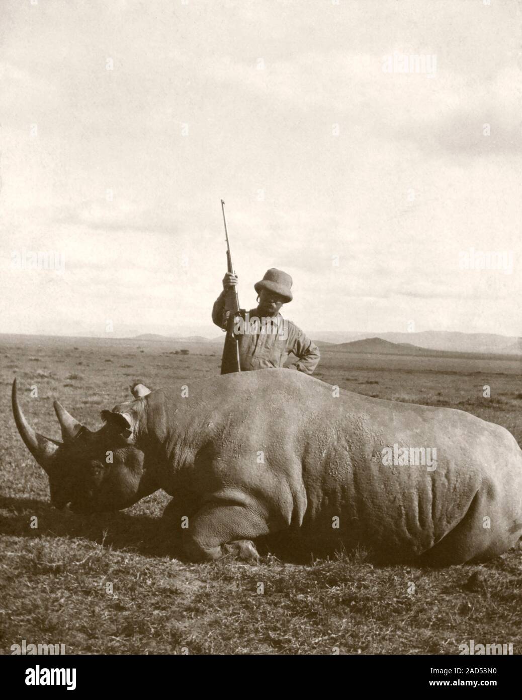 Theodore Roosevelt on safari. Former US President Theodore Roosevelt (18581919) standing with a