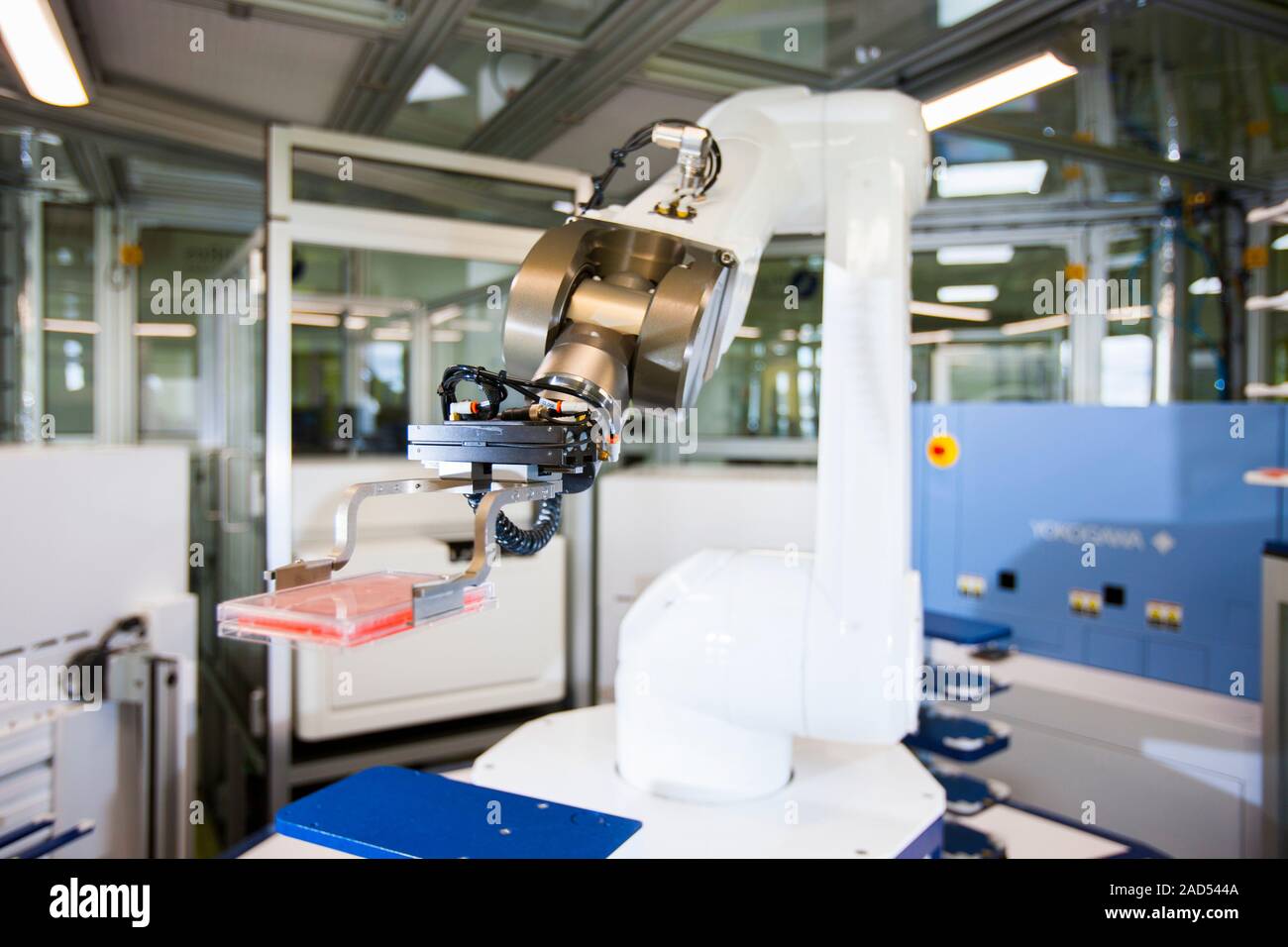 Phenotypic screening laboratory robot. Modular automated system being