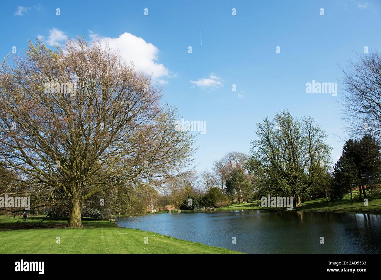 The lake at Ashfield House Stock Photo Alamy