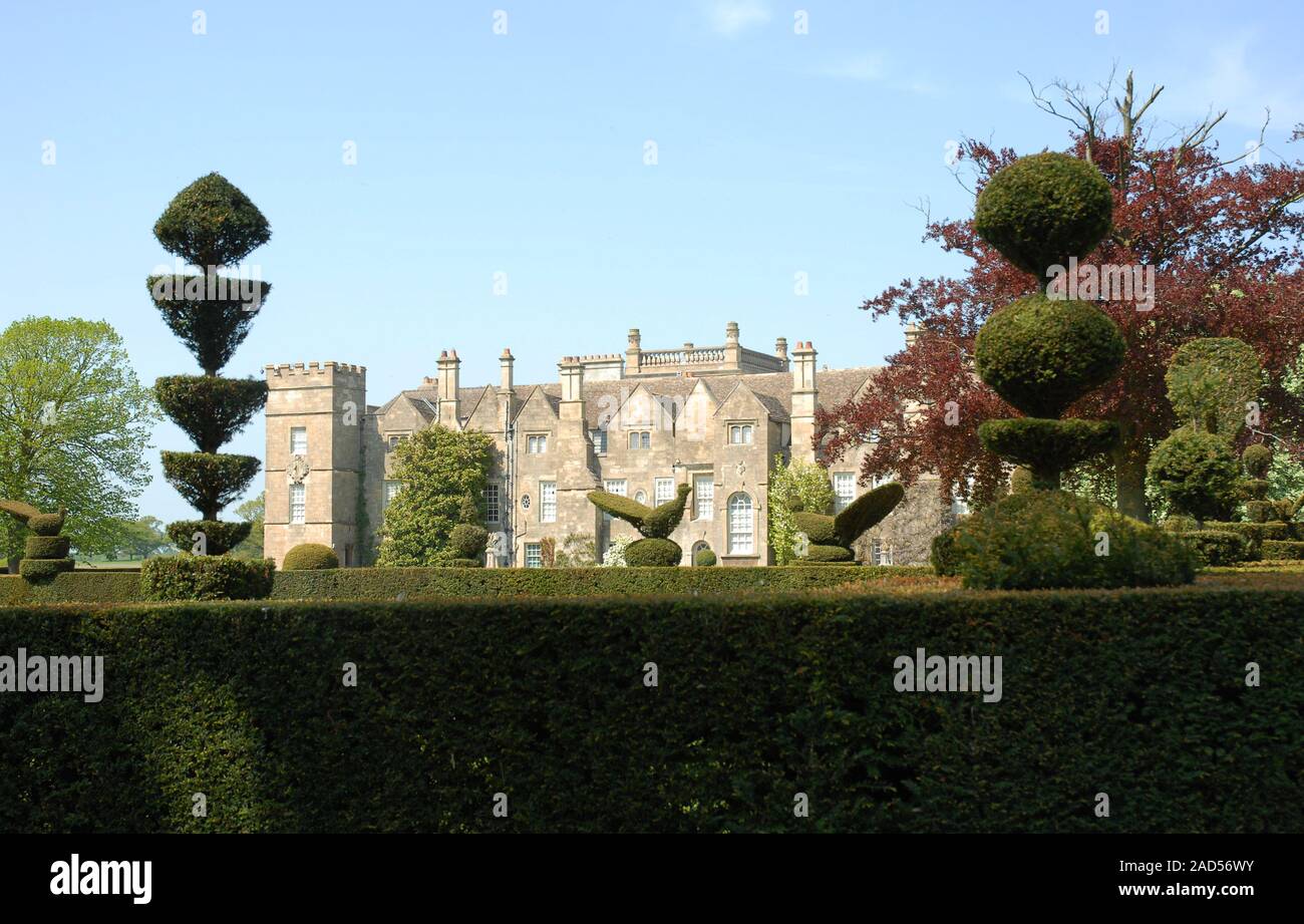 Grimsthorpe Castle Gardens with topiary yew hedges Stock Photo