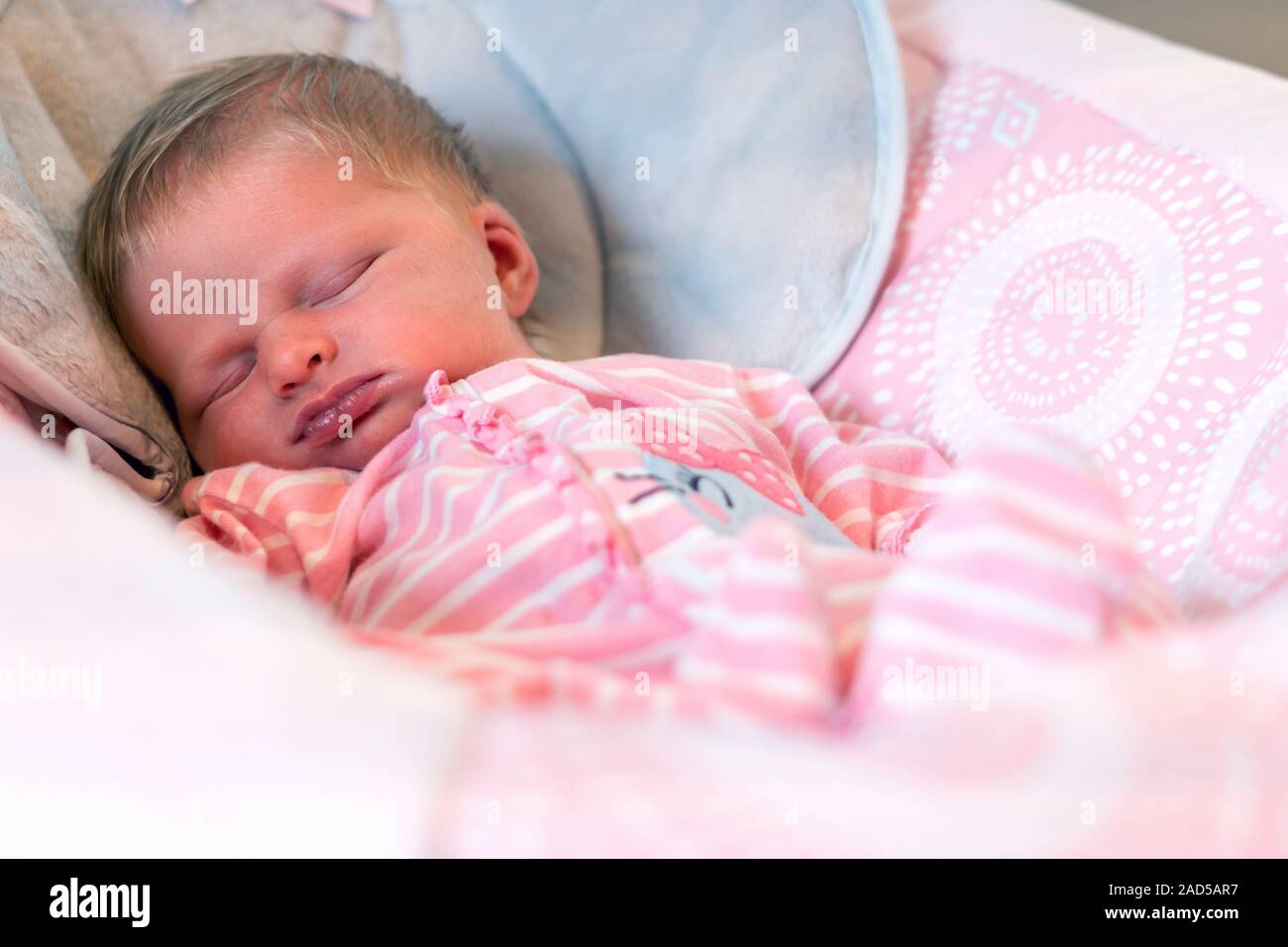 newborn sleeping in bouncer