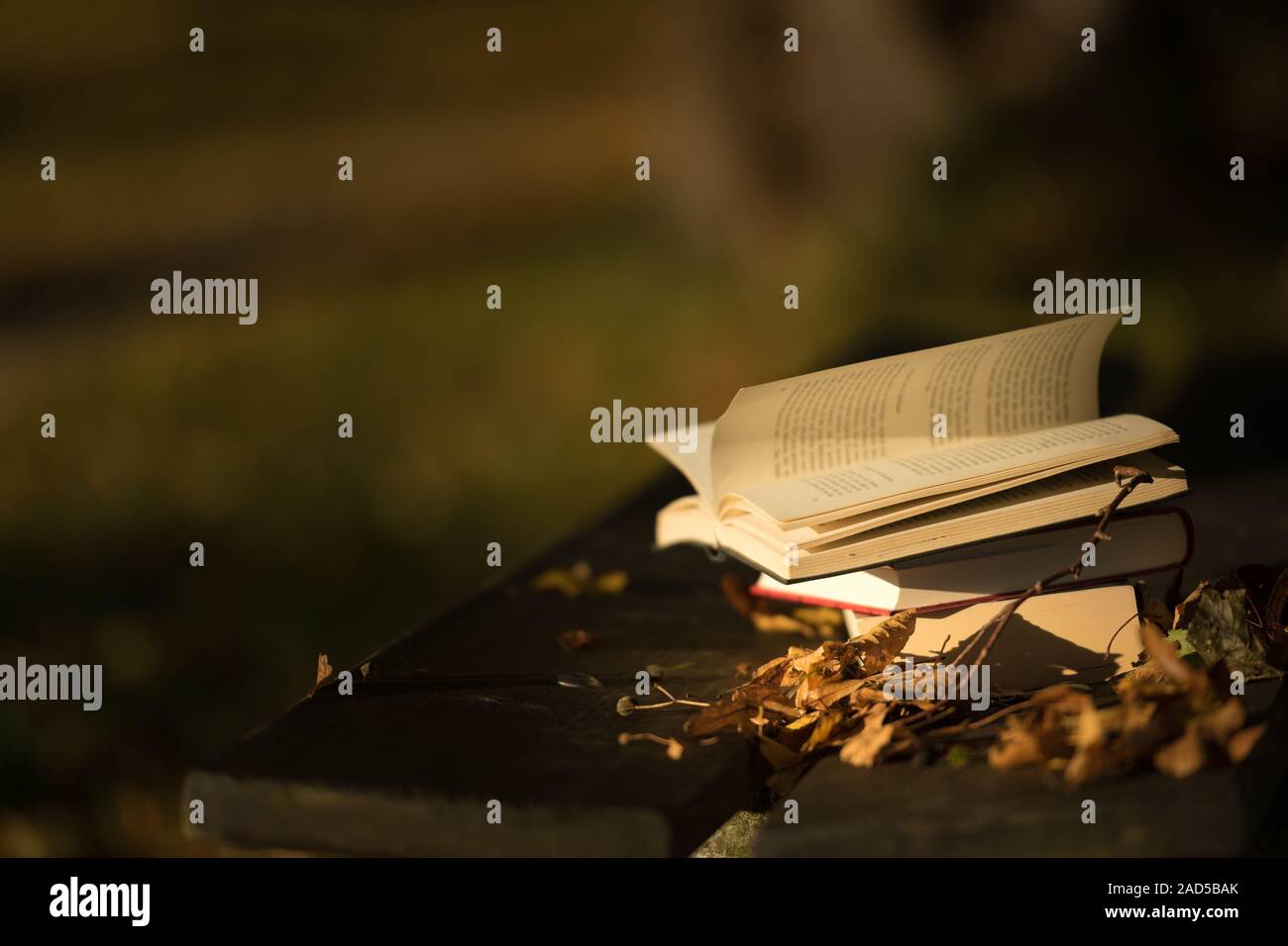 Empty book cover autumn leaves hi-res stock photography and images - Alamy