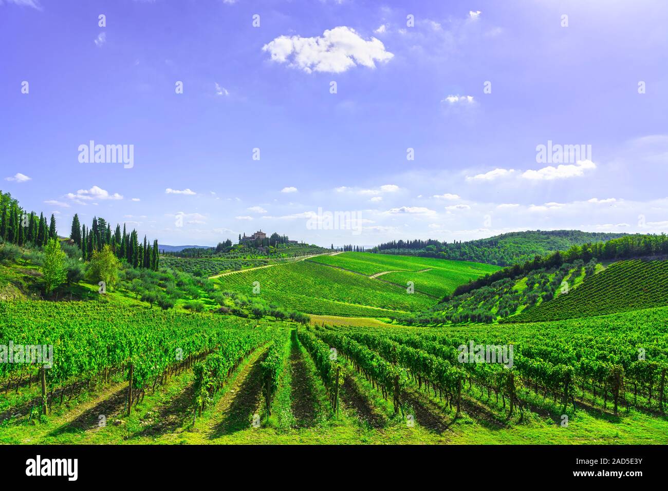 Radda in Chianti vineyard and panorama at sunset in autumn. Tuscany, Italy Europe. Stock Photo