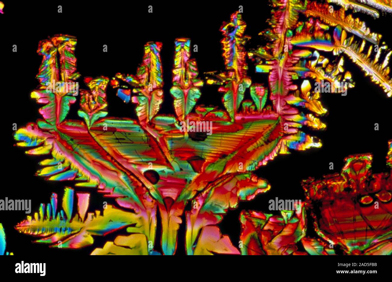 light-micrograph-lm-of-2-4-d-herbicide-crystals-2-4-d-2-4