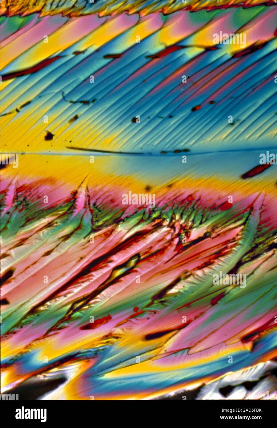 High Magnification Photomicrographs Illustrating The Patterns Of Gaba A