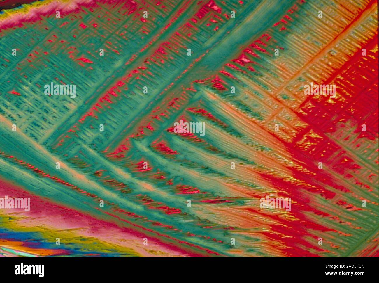 Light micrograph (LM) of Vitamin B2 (riboflavin) crystals. Vitamin B2
