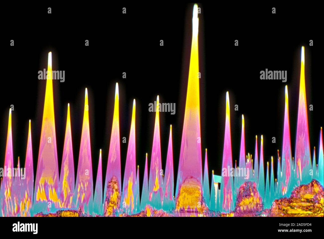 Light micrograph (LM) of Glutamic acid (glutamate) crystals. Glutamic