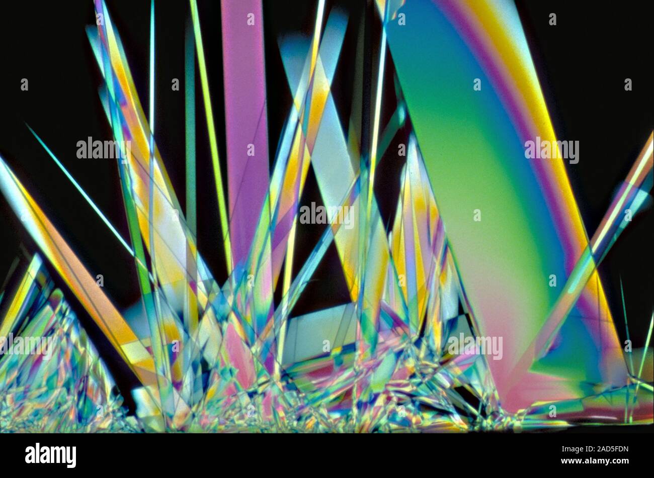 Light micrograph (LM) of Vitamin B1 (thiamine, thiamin) crystals