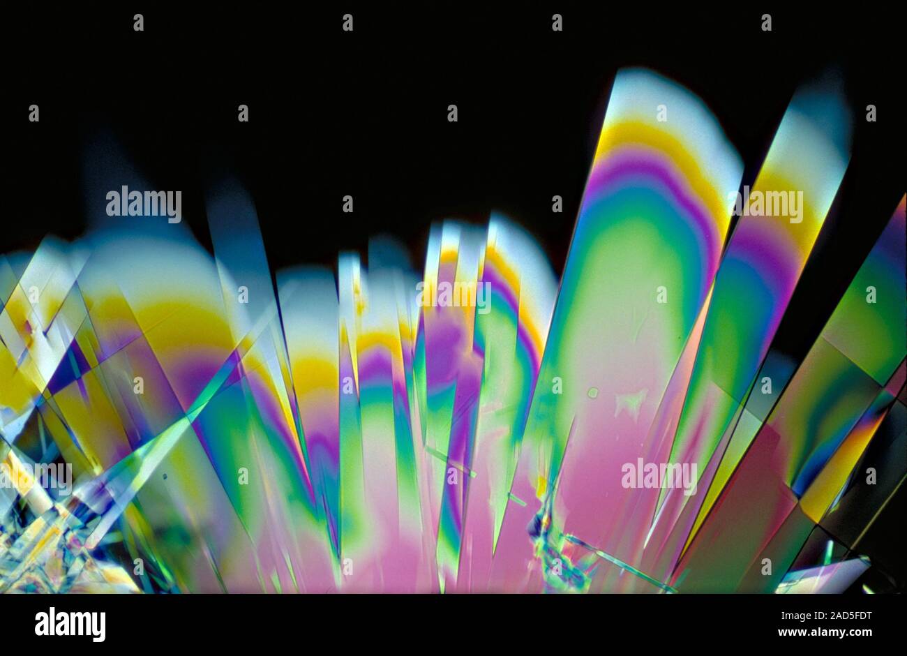 Light micrograph (LM) of Vitamin B1 (thiamine, thiamin) crystals