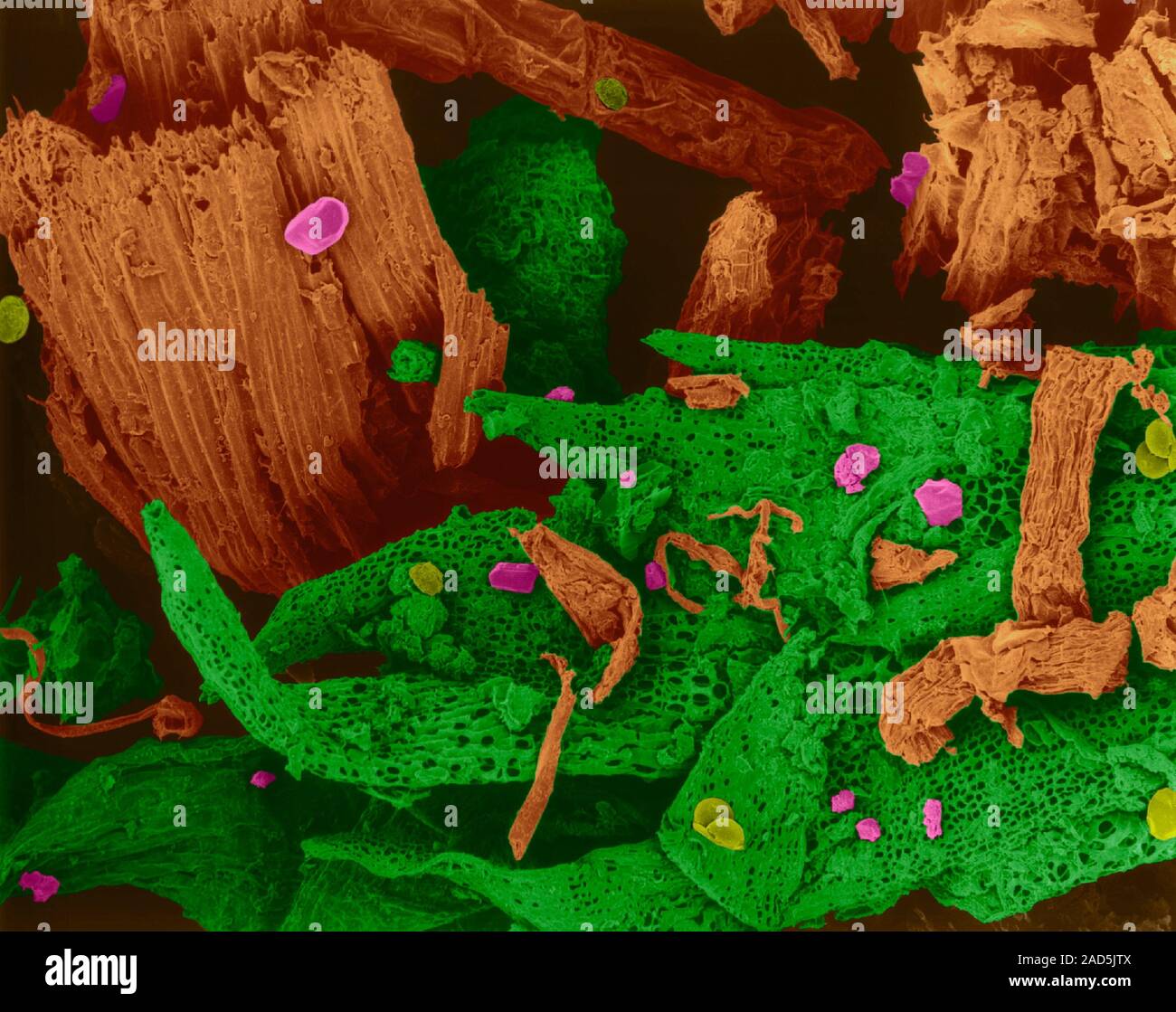Organic humus (soil compost); decaying plant materials, some mineral