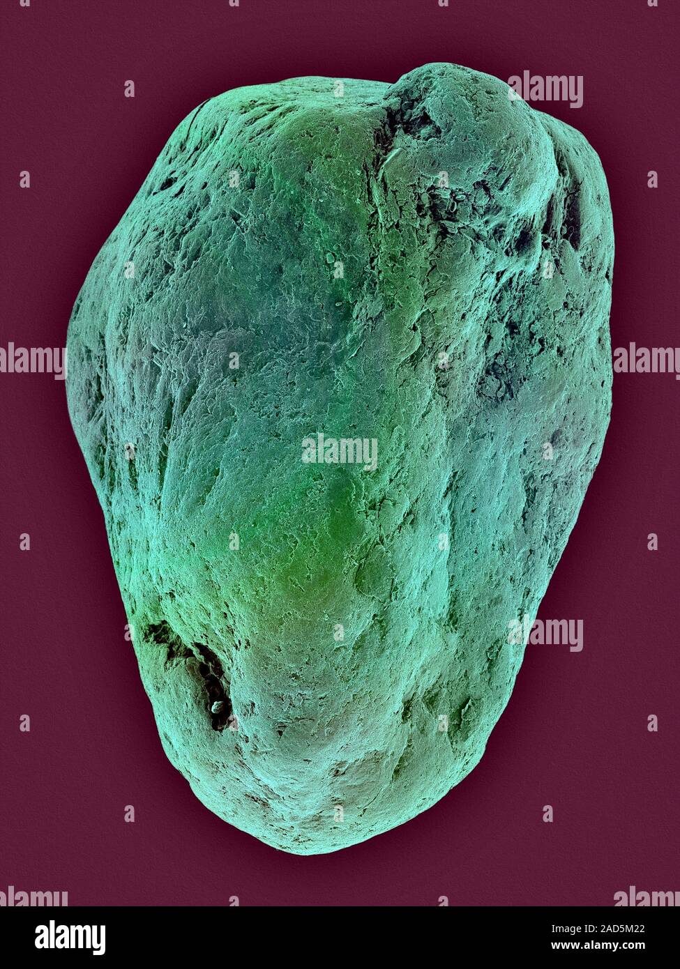 Micro Meterites Coloured scanning electron micrograph (SEM) of Micrometeorite collected ...