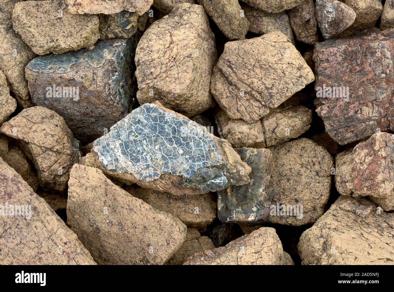 Lizardite Lizardite in serpentine rock. Photographed at Tablelands, Gros-Morne ...