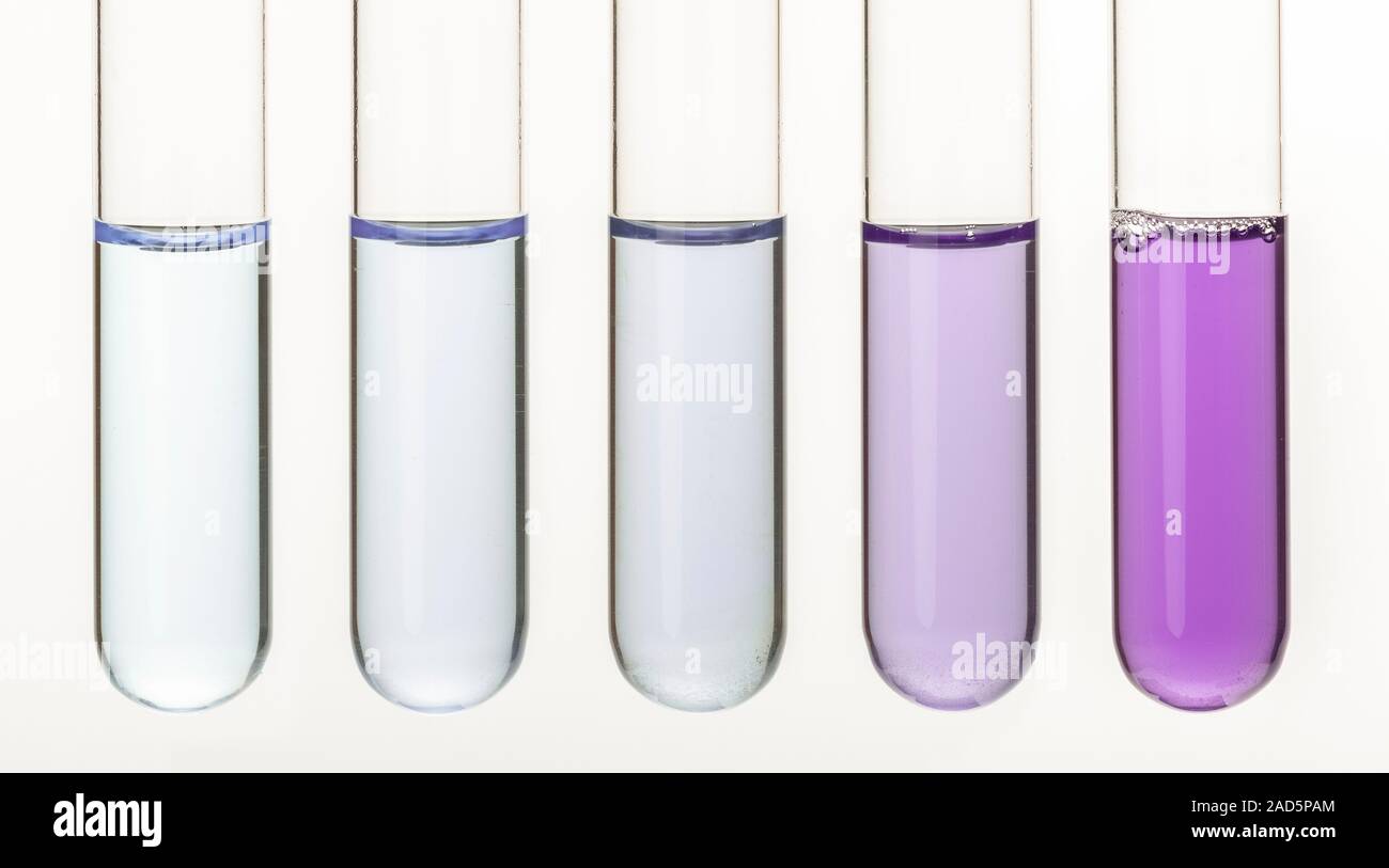 Biuret reagent test for protein. Add the blue Biuret solution to test