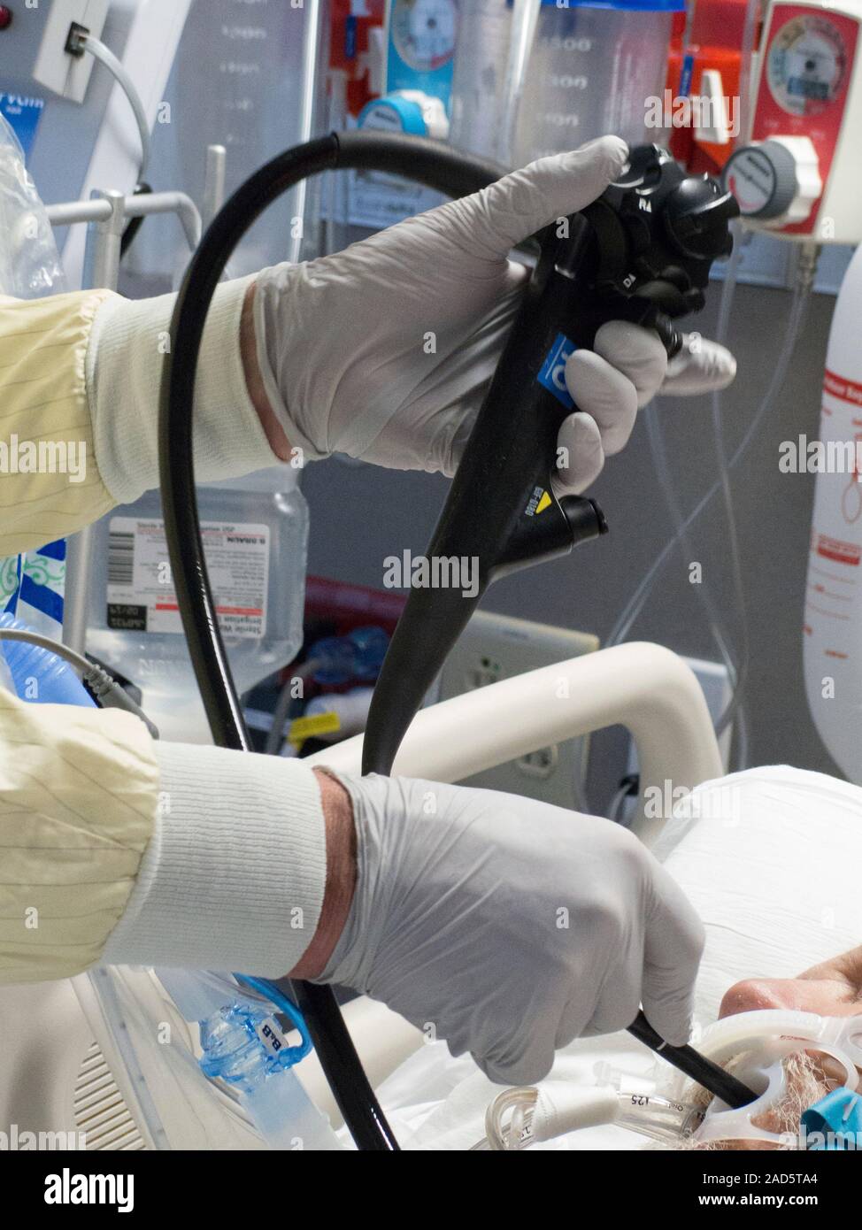 Investigative endoscopy. Gastroenterologist performing a bedside