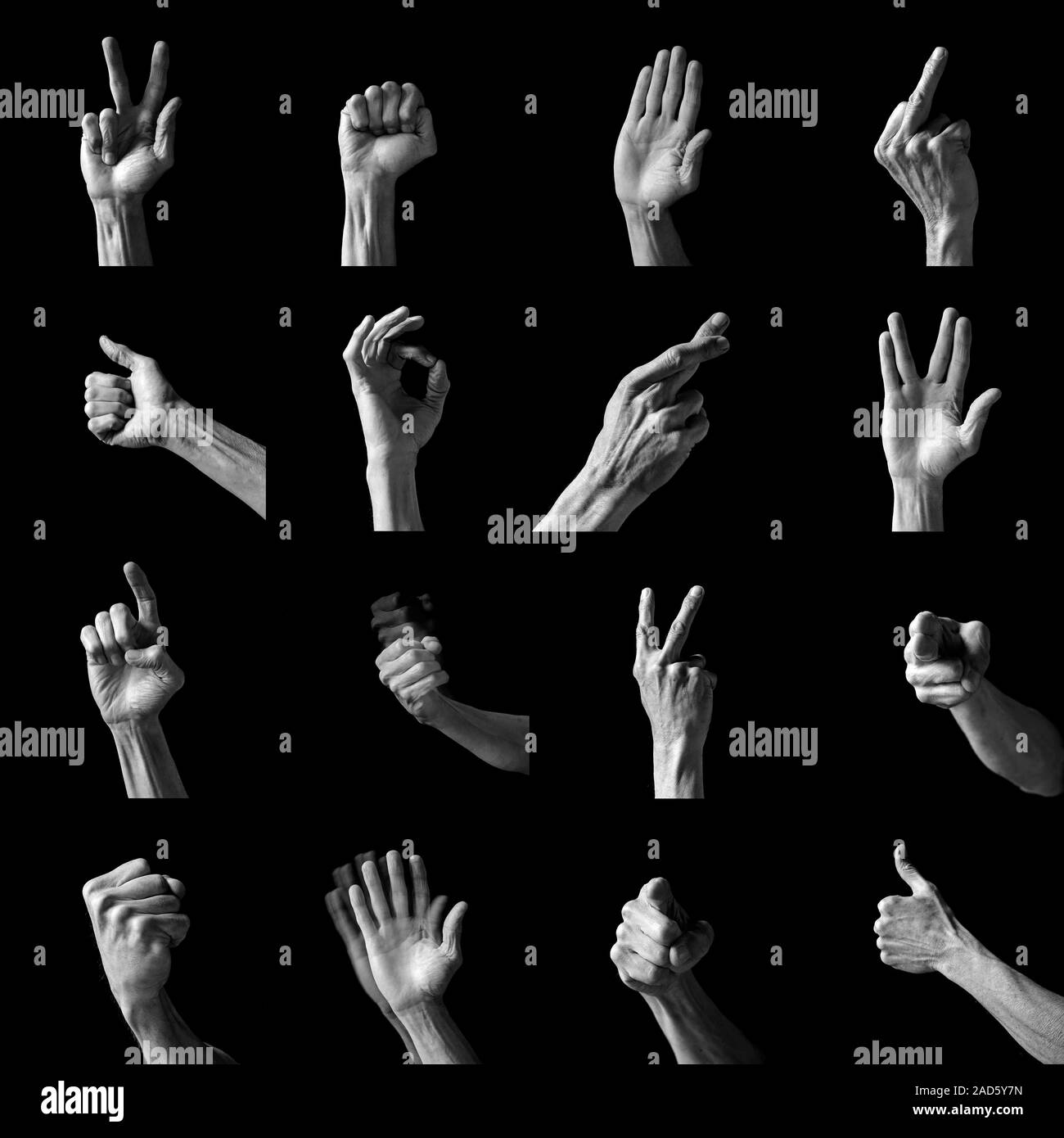 Топовые руки. Жесты руками. Жесты Эстетика. Жесты рук референсы. Красивые жесты руками.