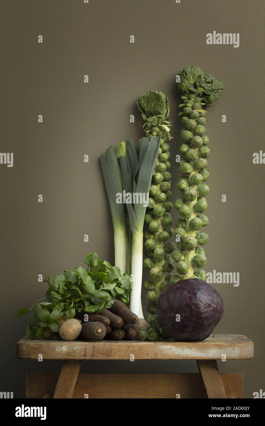Leek, Brussels sprouts, red cabbage and Claytonia perfoliata UK + IRISH RIGHTS ONLY. Stock Photo