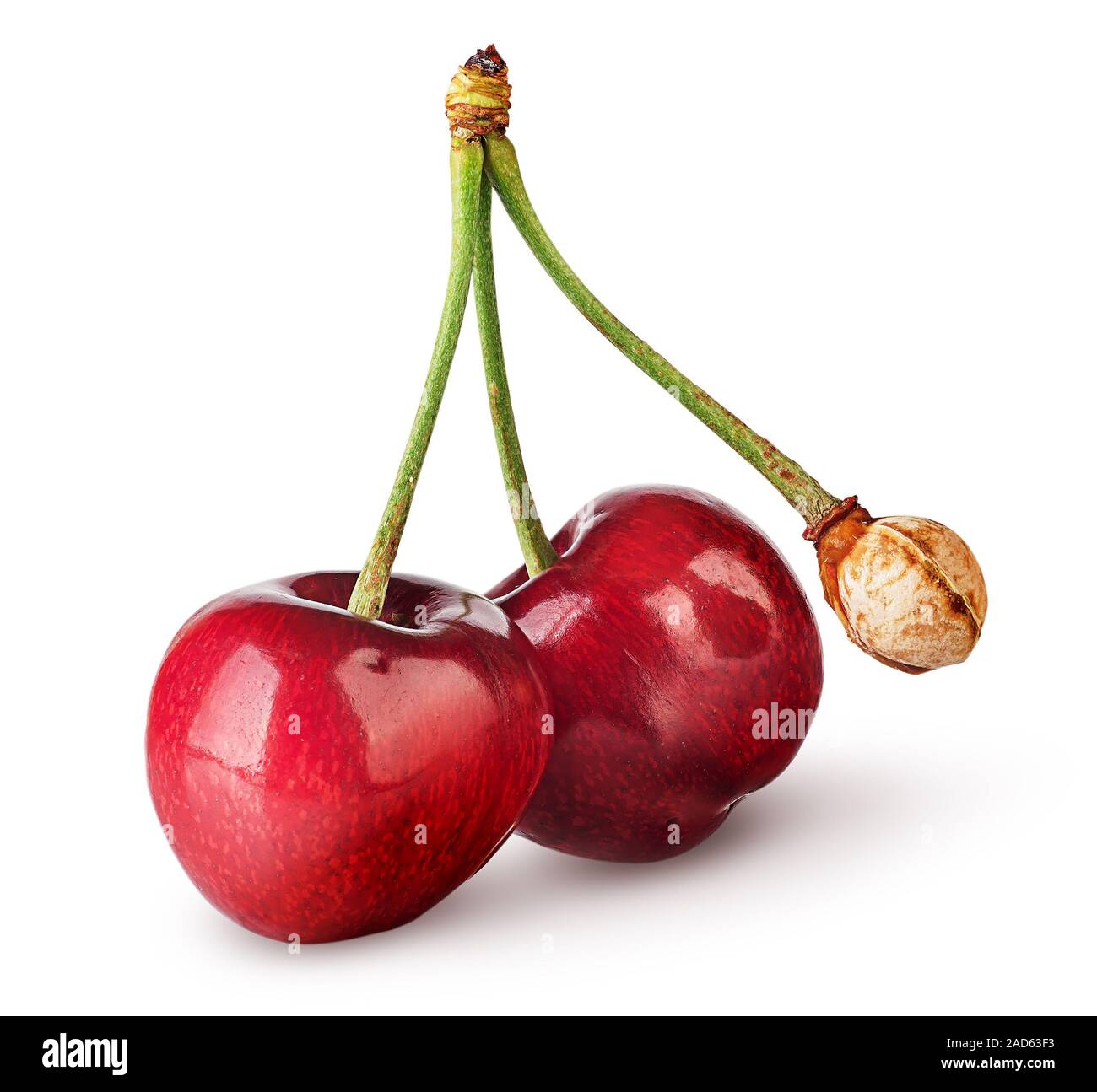 Pair of sweet cherries with bone Stock Photo Alamy