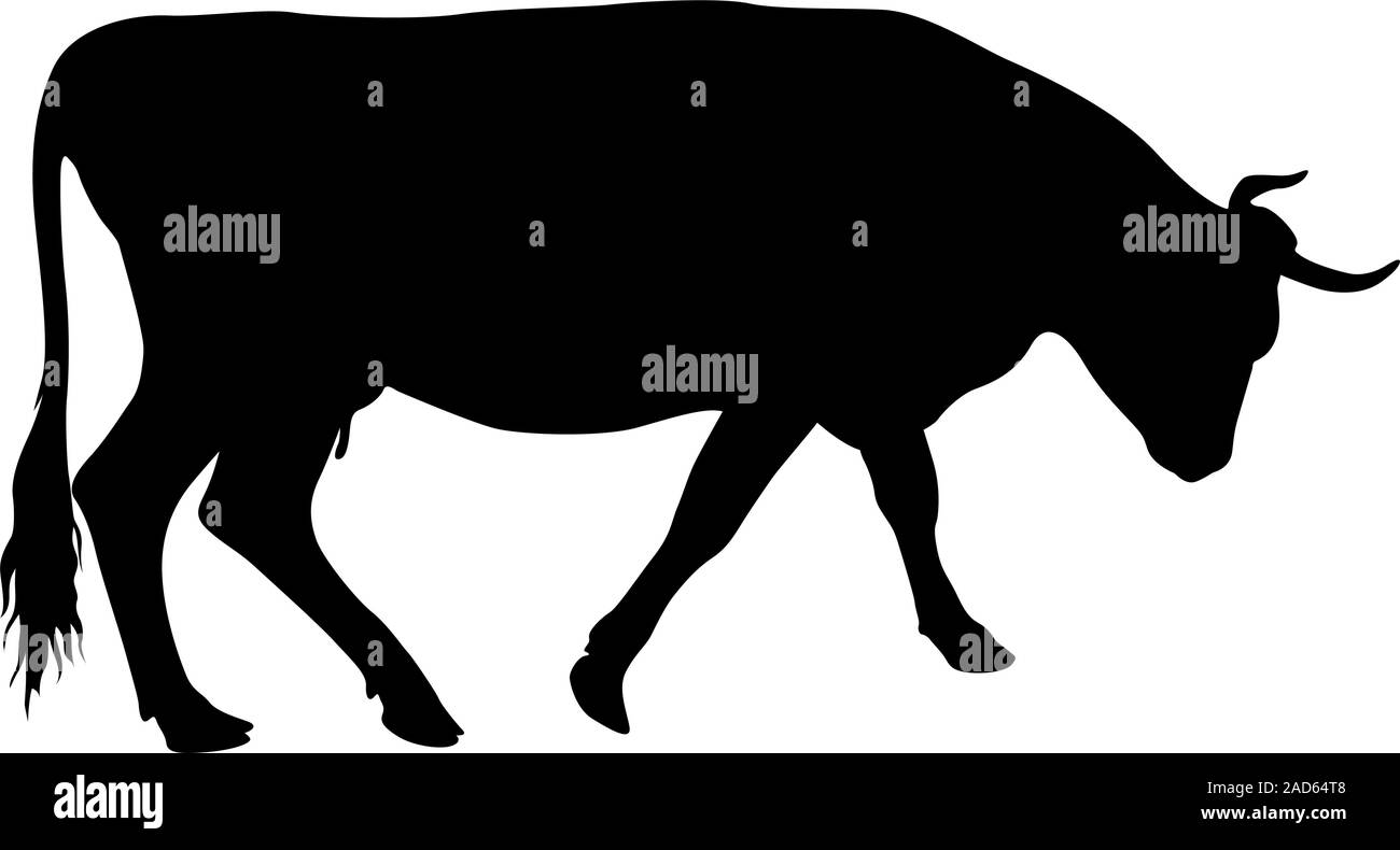 Black silhouette of cash cow on white background Stock Vector Image ...