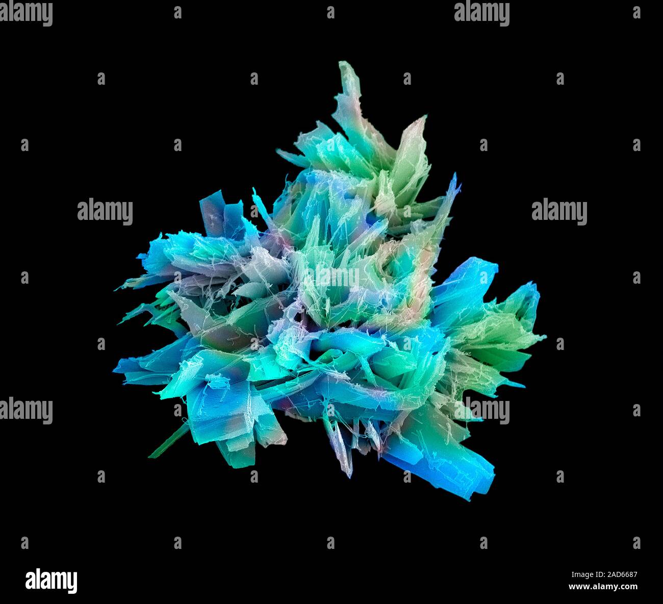Aspirin crystals, coloured scanning electron micrograph (SEM). Aspirin