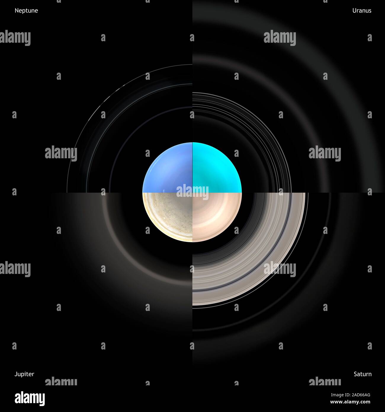 Artwork comparing the rings of the gas planets to scale. Each giant ...