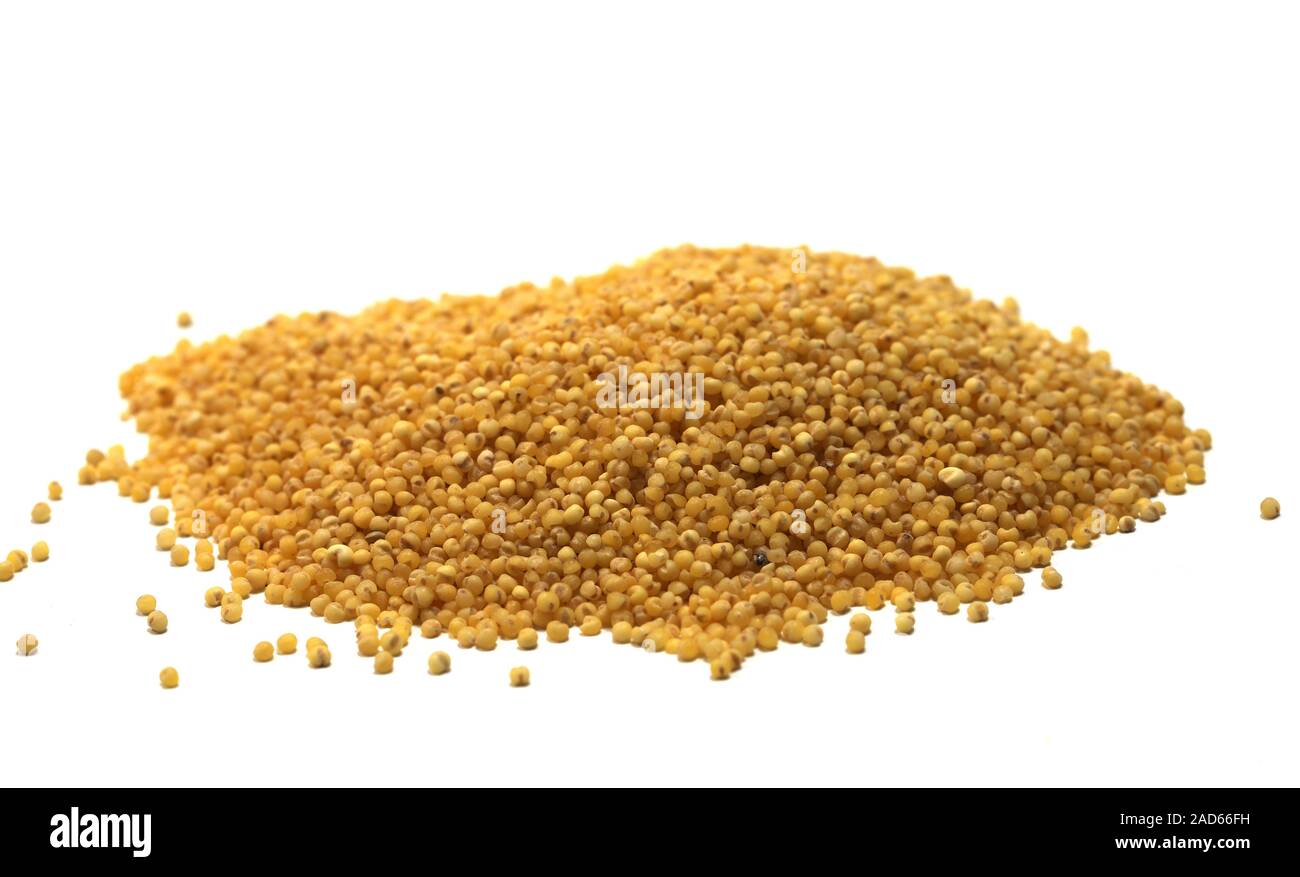 Millet cereal food grains healthy Stock Photo Alamy