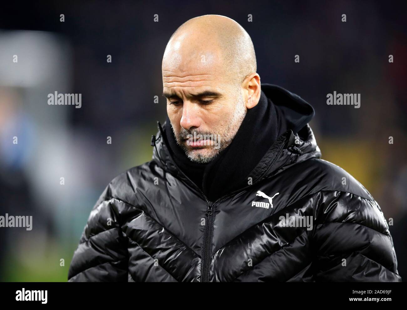 pep puma jacket