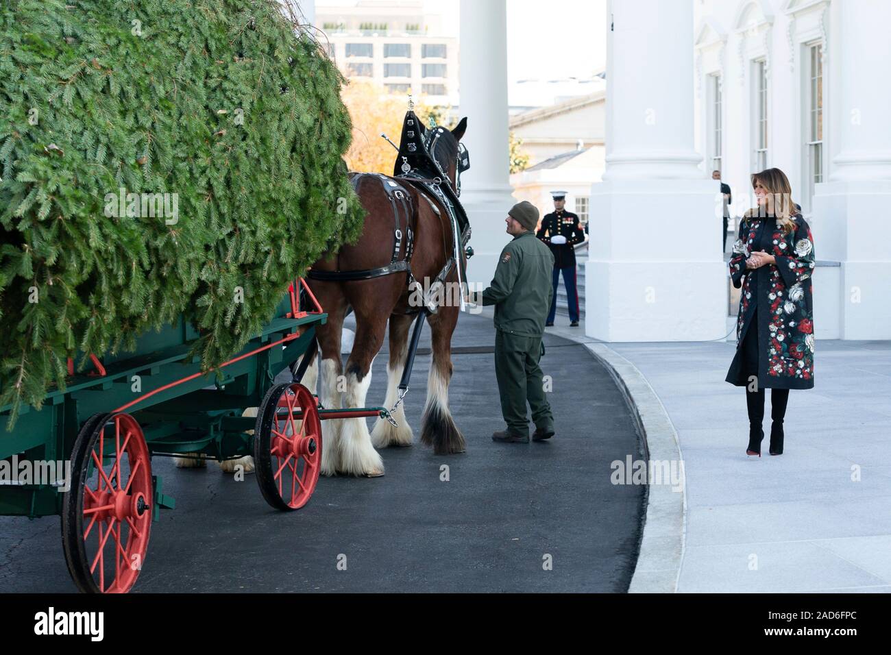 U.S First Lady Melania Trump the White House Christmas tree