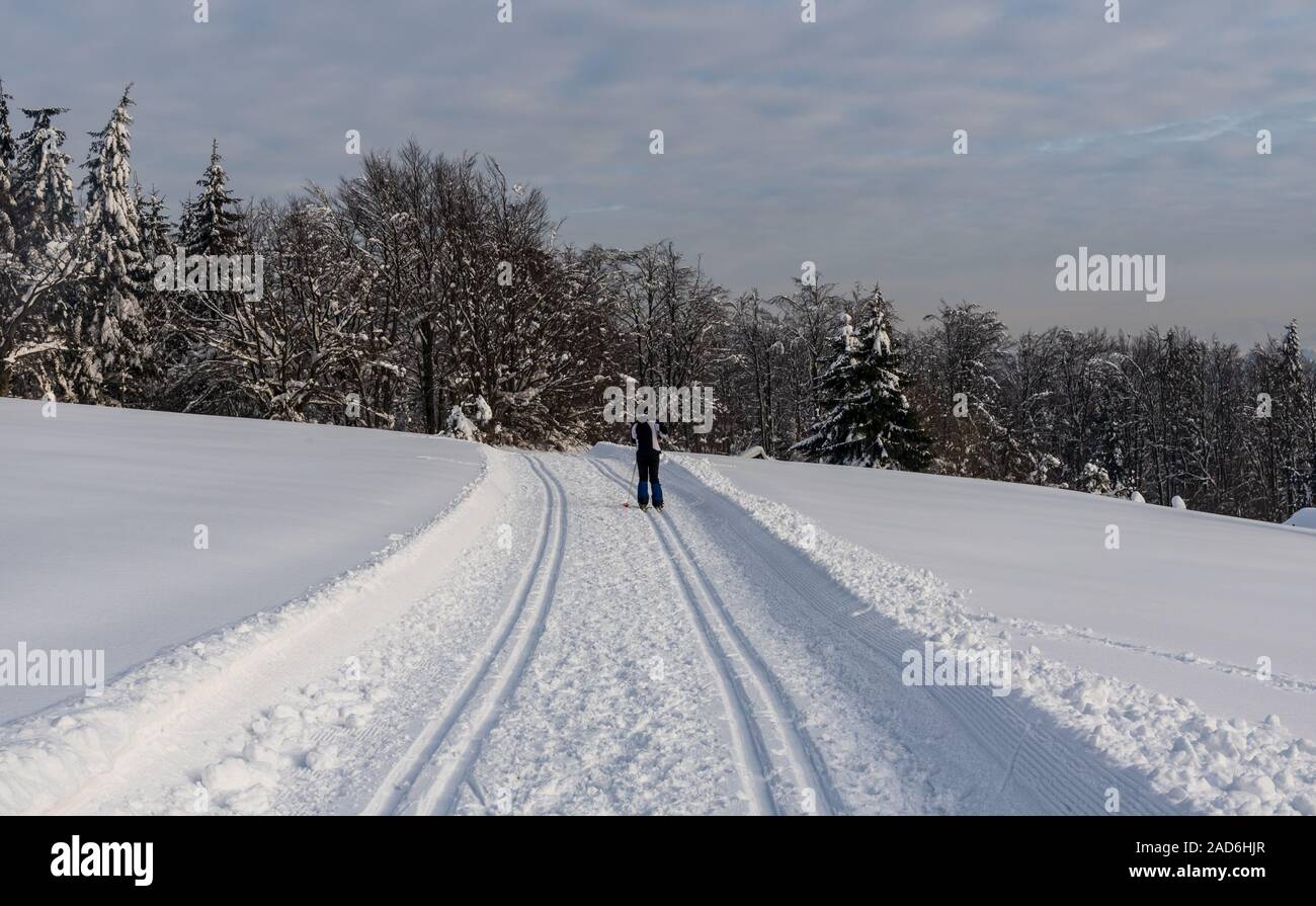 well-prepared cross ski country skiing track with skier on winter Beskydy mountains above Bukovec village in easternmost part of Czech republic Stock Photo