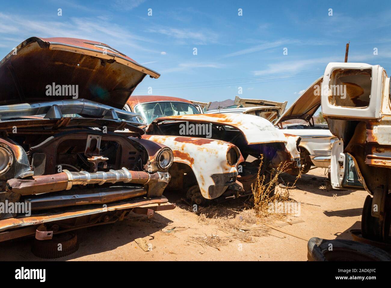 rusty old cars and trucks in a junk yard in the desert in Phoenix