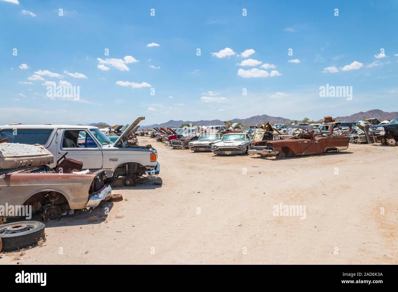 rusty old cars and trucks in a junk yard in the desert in Phoenix