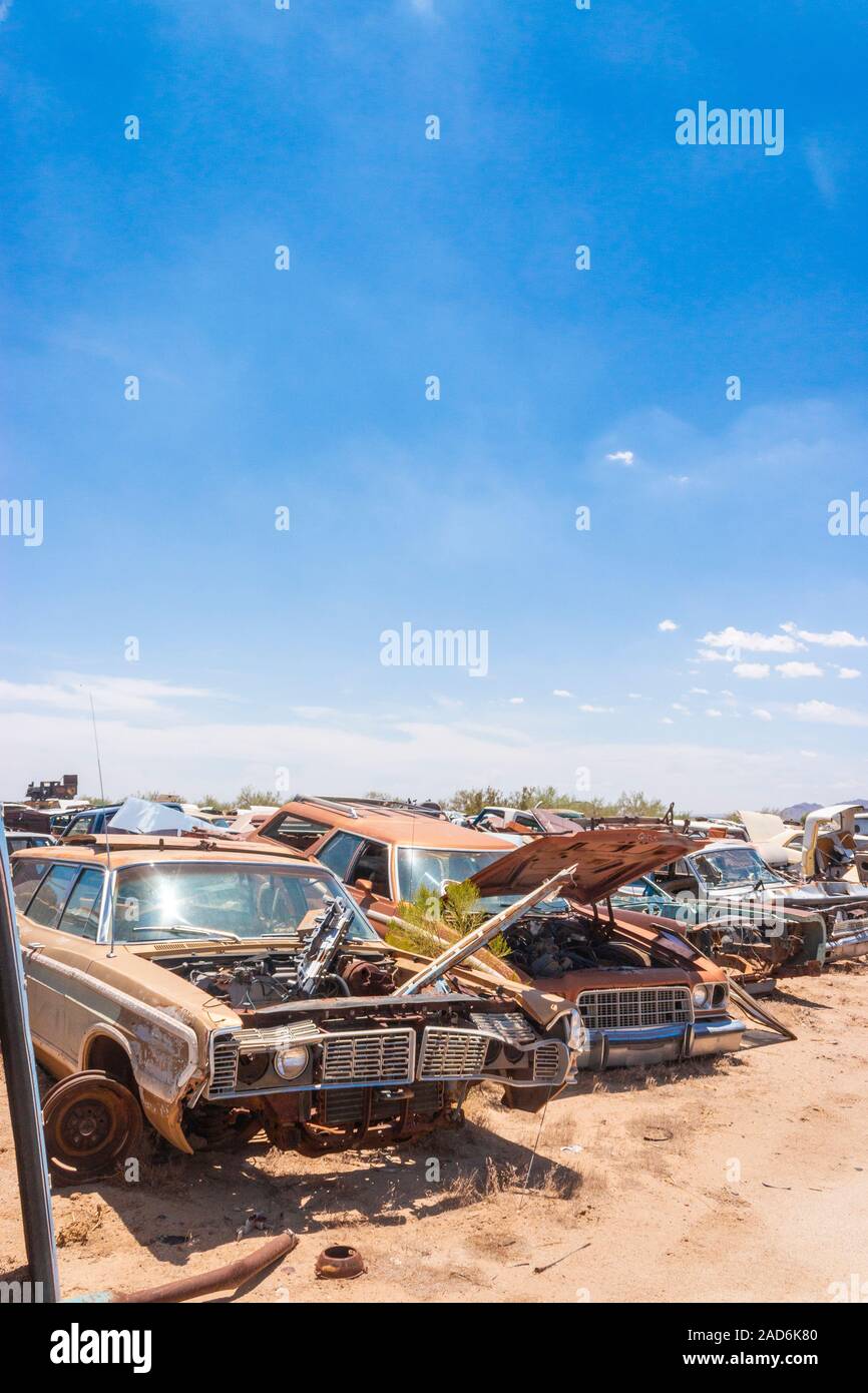 rusty old cars and trucks in a junk yard in the desert in Phoenix