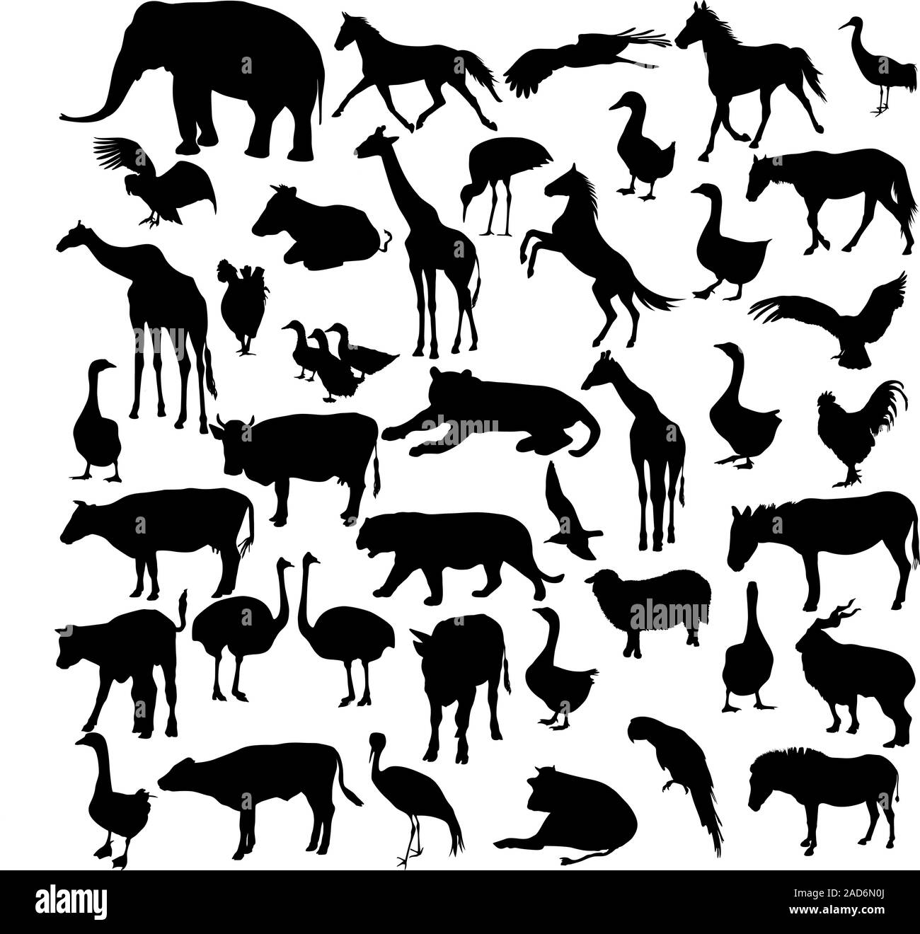 Set silhouettes animals and birds in the zoo collection. Vector