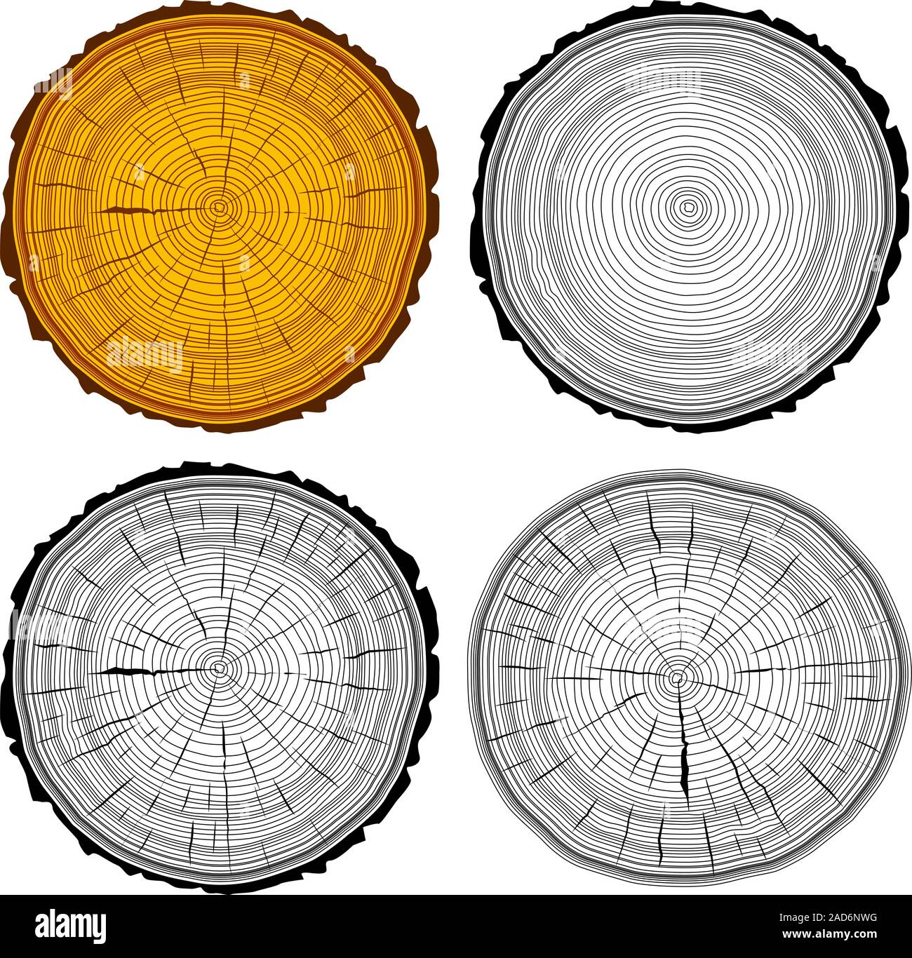 Set tree rings saw cut tree trunk background. Vector illustration Stock ...