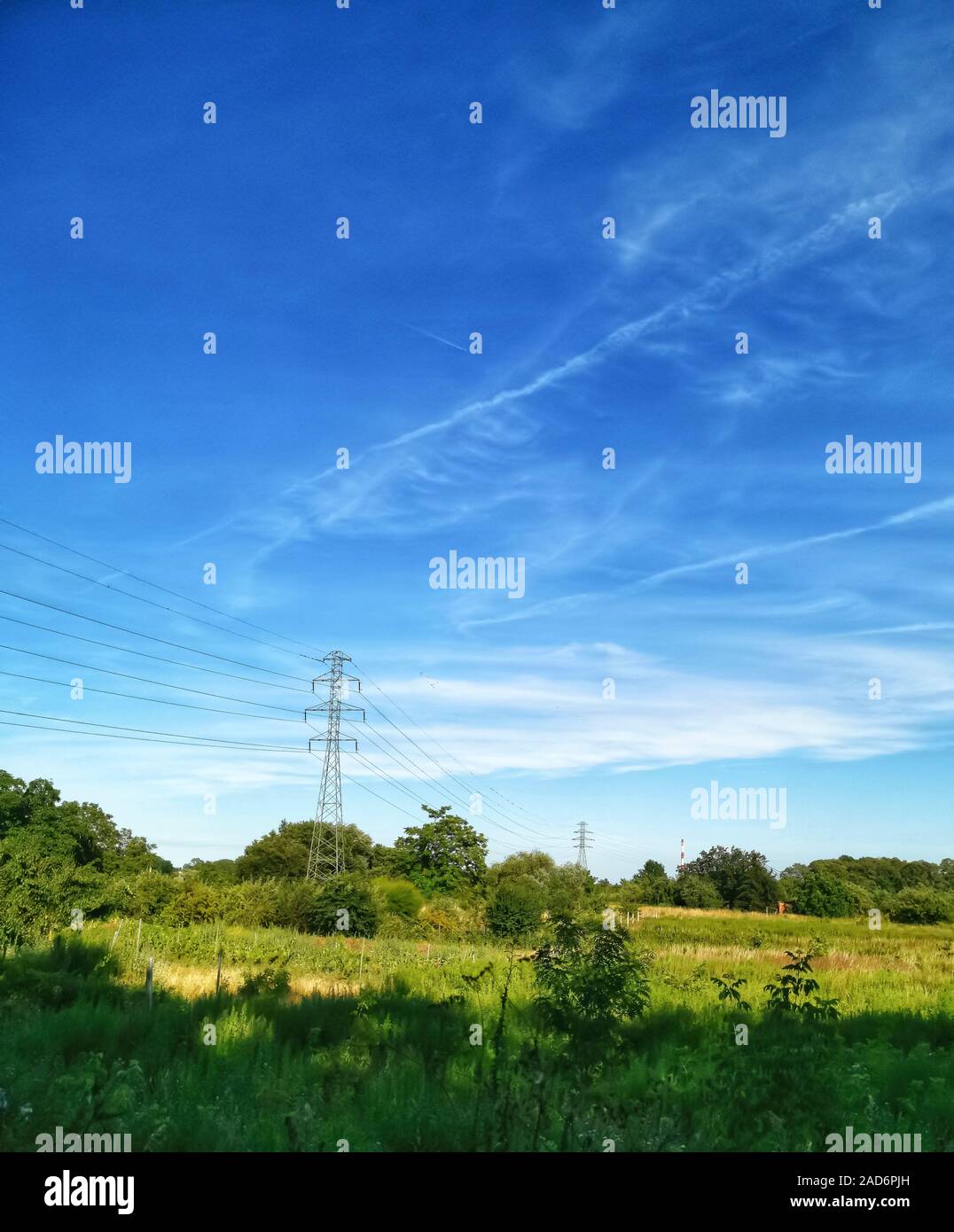 High voltage pylons and lines in a rural landscape against a blue sky. green country landscape on a sunny day. Association of agriculture and industry Stock Photo