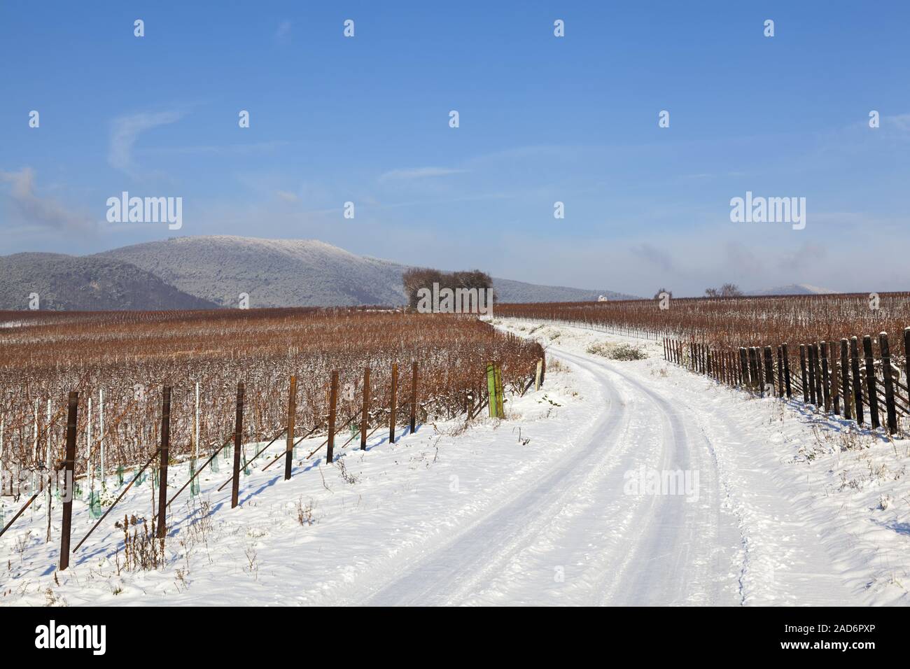 Winter in the Southern Palatinate Stock Photo