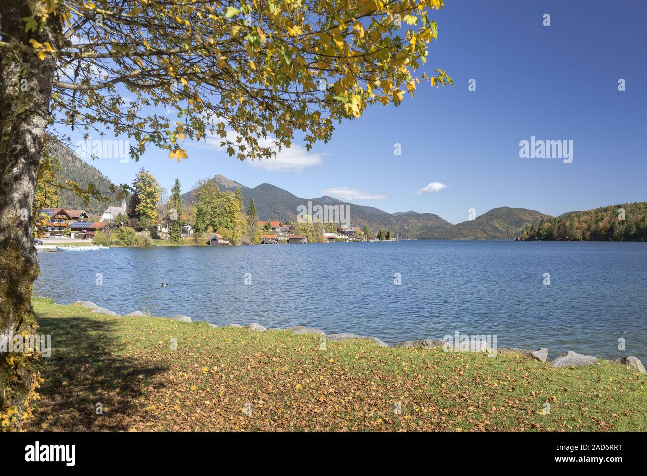 Autumn at Walchensee in Bavaria Stock Photo