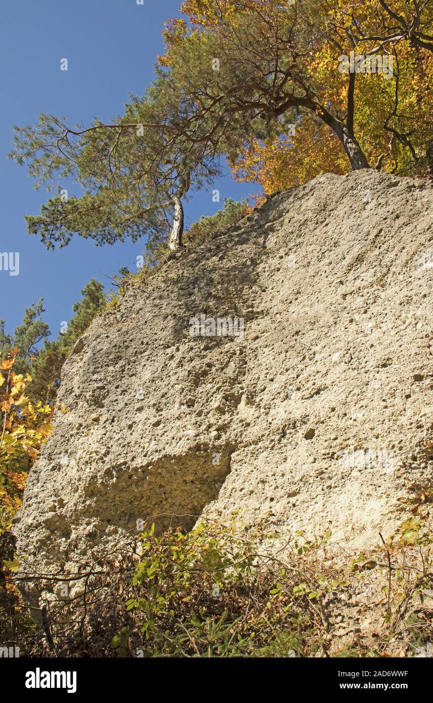 Sandstone rock on the steep slop from Sipplingen at the Lake Constance Stock Photo
